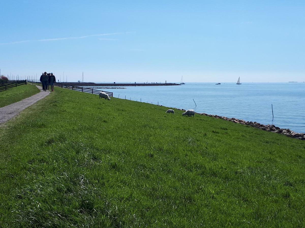 Heerlijk Huis Aan Het Ijsselmeer Stavoren Exterior photo